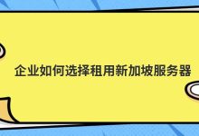 企业如何选择租用新加坡服务器