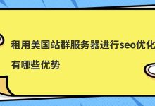 租用美国站群服务器进行seo优化有哪些优势