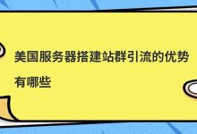 美国服务器搭建站群引流的优势有哪些