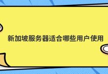 新加坡服务器适合哪些用户使用