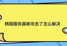 韩国服务器被攻击了怎么解决