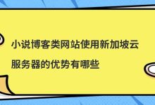 ​小说博客类网站使用新加坡云服务器的优势有哪些