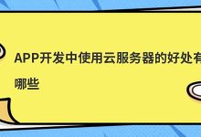 APP开发中使用云服务器的好处有哪些